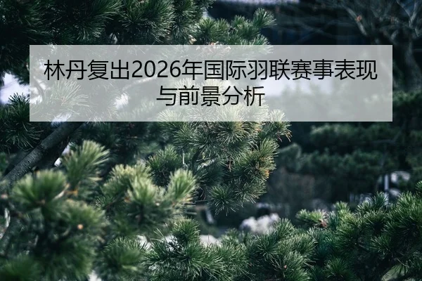 lin-dan-fu-chu-nian-guo-ji-yu-lian-sai-shi-biao-xian-yu-qian-jing-fen-xi-2-928.jpg
